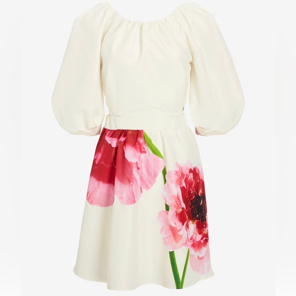 Express Floral Puff Sleeve Cutout Dress